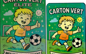 LE CARTON VERT &amp; ( Nouveau ) LE CARTON VERT ELITE